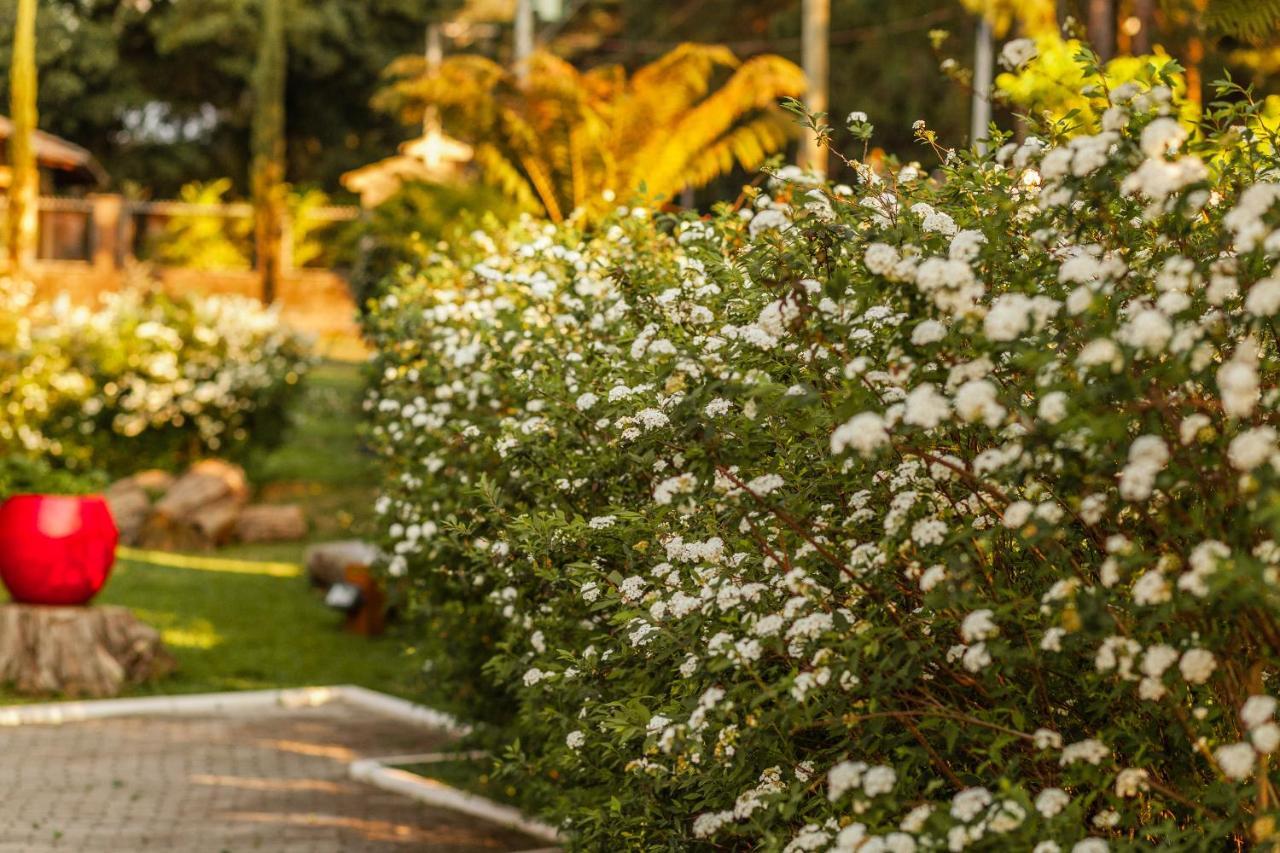 Pousada Betania Gramado Bagian luar foto